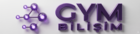 gymbilisim.com